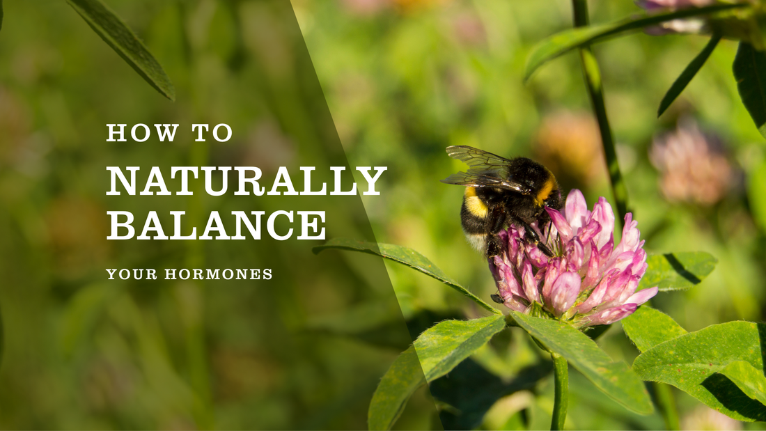 How to Naturally Balance Your Hormones