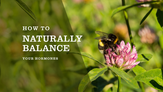 How to Naturally Balance Your Hormones