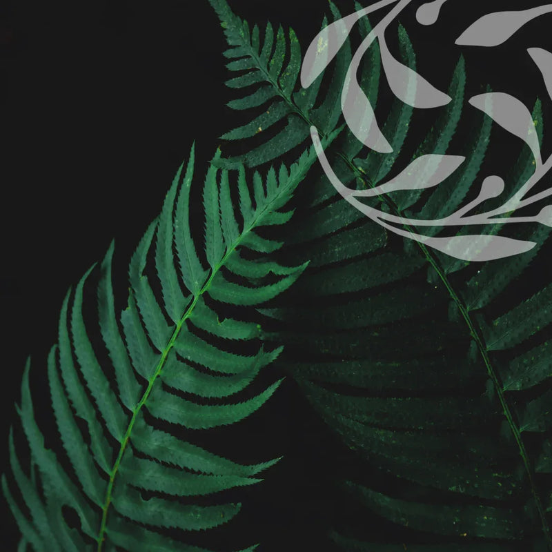 Hot Flushes & Redness Collection - Botanical Balance