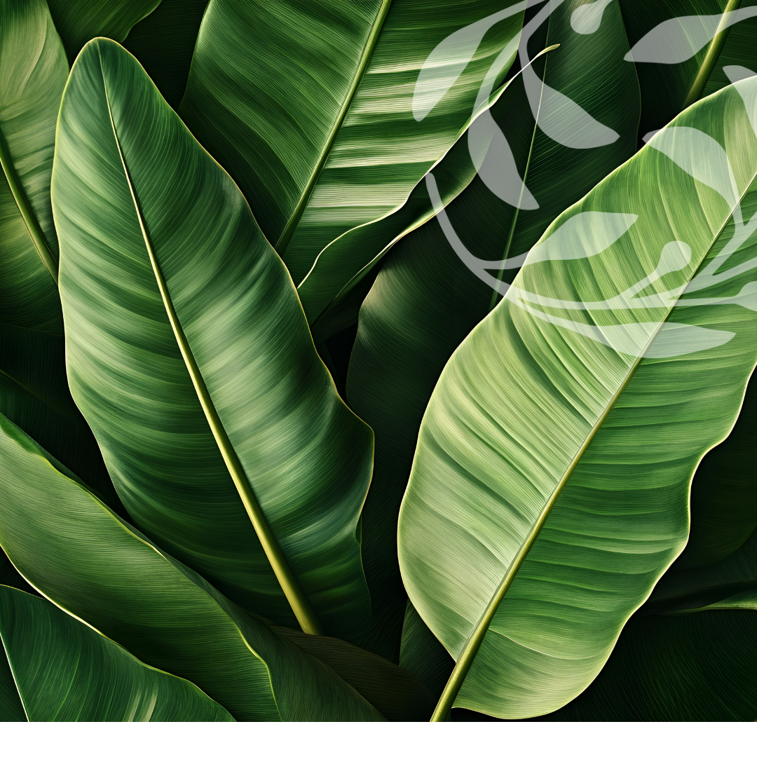 Breakouts → Green tea leaves in clear water